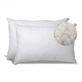 Luxury sheraton hotel collection bed pillows 50% duck down feather 